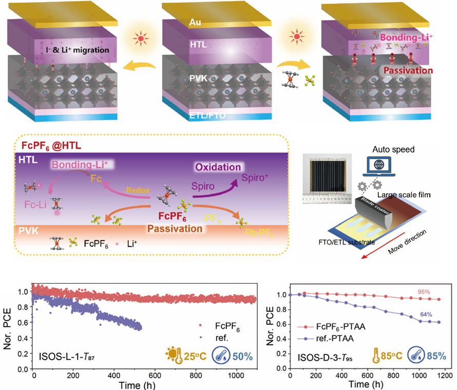 我院李静教授、尹君副教授团队在高效稳定钙钛矿太阳能组件方面取得进展 我院李静教授、尹君副教授团队在高效稳定钙钛矿太阳能组件方面取得进展
