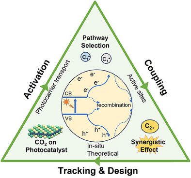 陈辛夷课题组综述光还原二氧化碳研究进展,交叉学科技术助力多碳产物高效合成 陈辛夷课题组综述光还原二氧化碳研究进展,交叉学科技术助力多碳产物高效合成