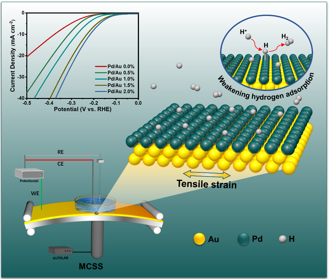杨扬教授课题组在固体表面应变的原子级精准调控取得重要进展 杨扬教授课题组在固体表面应变的原子级精准调控取得重要进展