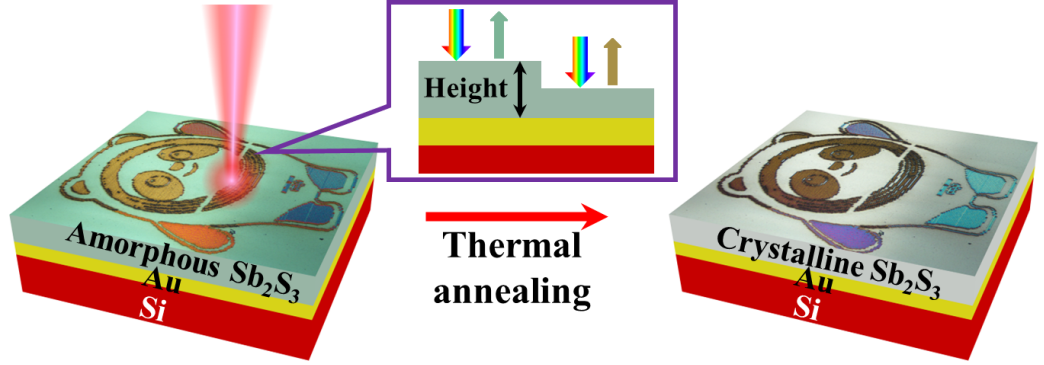 我院洪明辉团队与大连理工大学联合报道了一种基于硫族玻璃梯度谐振腔的非易失动态显示技术 我院洪明辉团队与大连理工大学联合报道了一种基于硫族玻璃梯度谐振腔的非易失动态显示技术